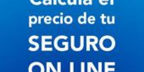 Calcula tu seguro on line